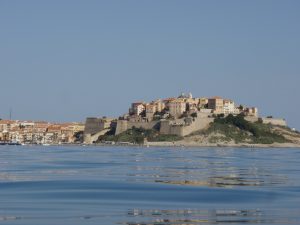 Citadelle Calvi