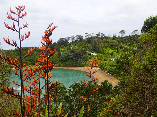 Pearl Bay 